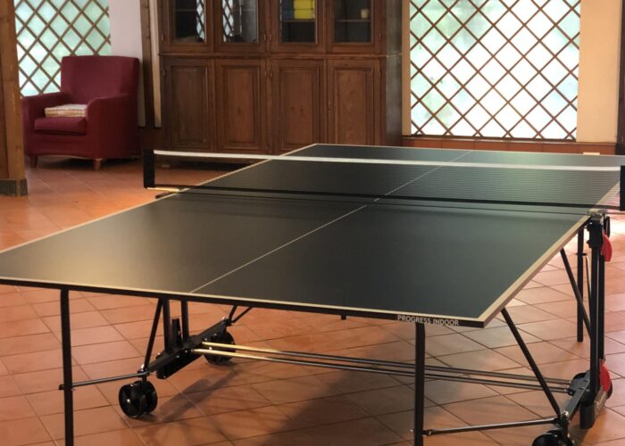 Tavolo da Ping Pong