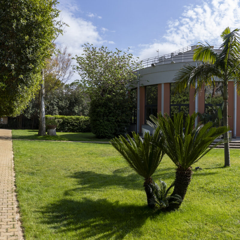 Elezioni Ct Palermo quadriennio 2025 – 2028